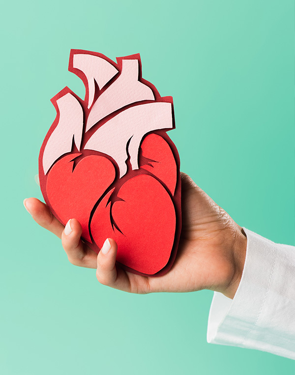Kardiologie-hiltrup-papierherz